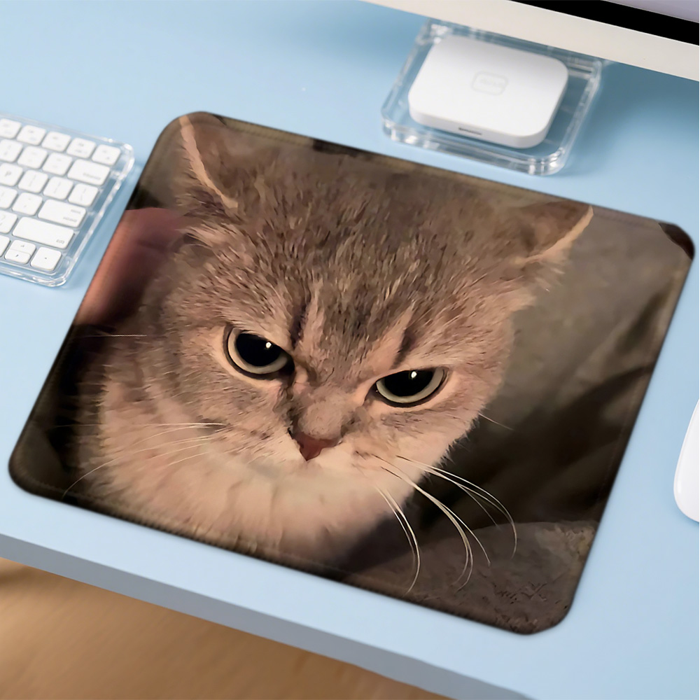 Mosepad Kawaii Funny Cat Compu - Gaming Accessories For Gaming Desk ulasan dan harga